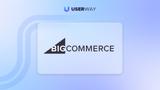 BigCommerce accessibility widget