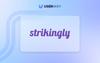 strikingly accessibility widget