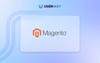 Magento accessibility widget
