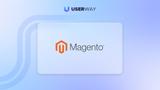 Magento accessibility widget