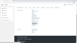 Click on site administration - appearance - additional HTML
