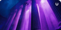 Purple Ionic columns in dark and light purple as viewed from an upward angle