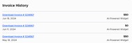 Invoice interface 