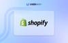 Shopify accessibility widget