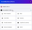 A list of Accessibility profiles available