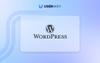 Wordpress accessibility widget