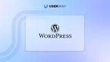 Wordpress accessibility widget