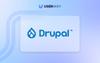 Drupal accessibility widget