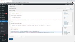 3 - scroll down until find body closing tag - paste code - update file