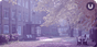 A misty view of a school campus in the fall, with a building entrance, picnic tables, and a grove of trees are visible in the forefront