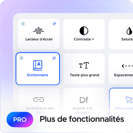 Fonctionnalités supplémentaires du widget Pro de UserWay