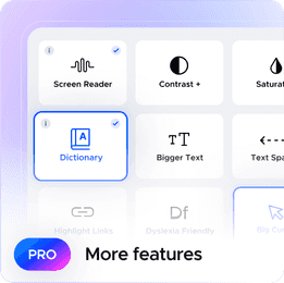 UserWay Pro Widget additional features