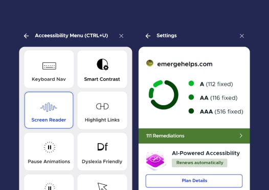 Remediation summary and accessibility menu for Emerge website