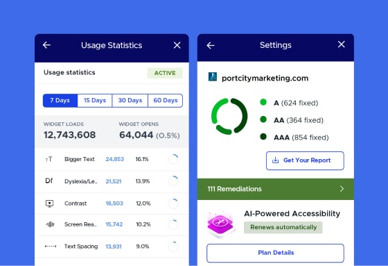 Widget usage statistics and remediation results for Port City Marketing website