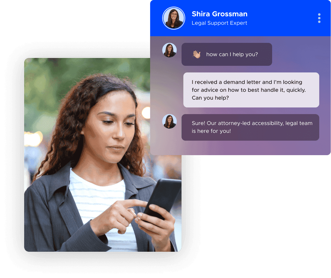 Conversation with UserWay legal support expert