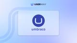 Umbraco accessibility widget