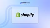 Shopify accessibility widget